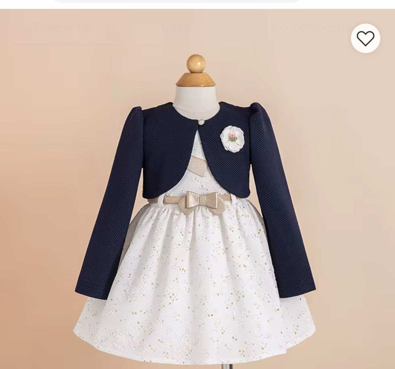 Girls Two-Piece Dress Set – Special Occasion & Party Outfit