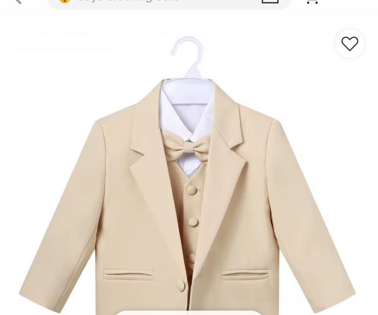 Little Gentleman 5-Piece Suit Set