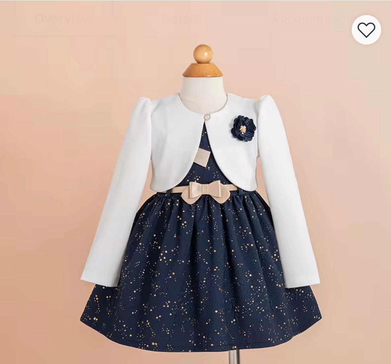 Girls Two-Piece Dress Set – Special Occasion & Party Outfit