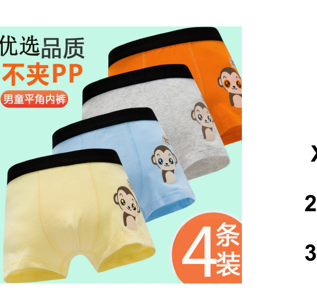 Boy 4 PCs underwear.
