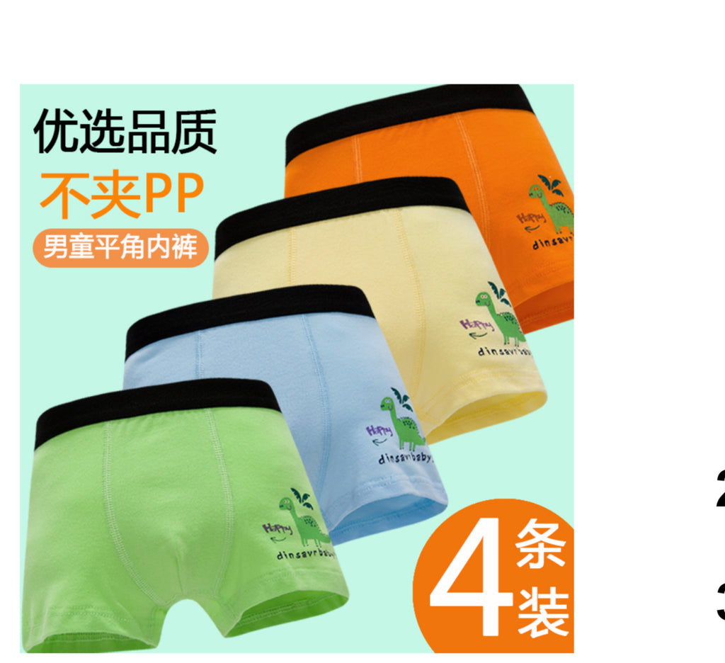 Boy 4 PCs underwear.