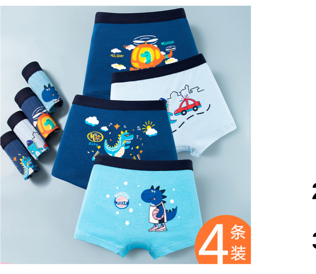 Boy 4 PCs underwear.
